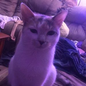 Meet your Posher, Nevaeh